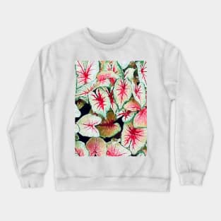 Caladium bicolor leaves Crewneck Sweatshirt